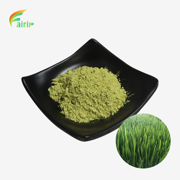 Natural Wheat Grass Powder